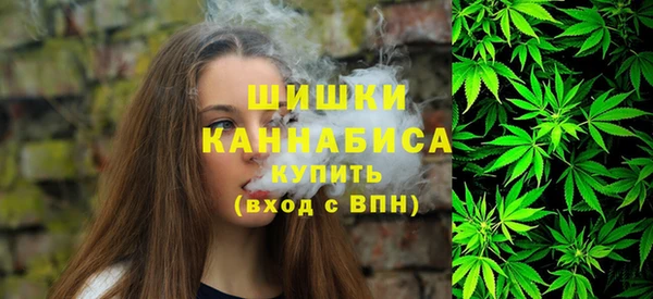 сатива Белоозёрский