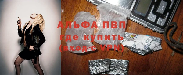 сатива Белоозёрский