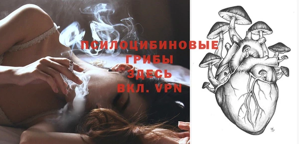 сатива Белоозёрский